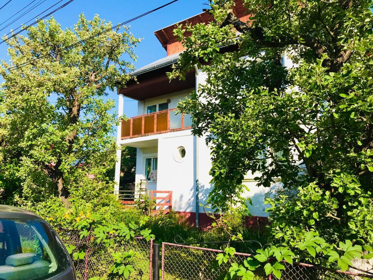 Apartament Vica Gura Humorului Exterior photo